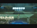 【初見プレイ】自由に駆け巡るゼルダの伝説ブレスオブザワイルド Part4