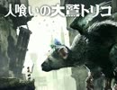 【実況】人喰いの大鷲のトリコの虜になる part1