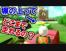 検証！塀の上はどこまで強引に走れる?!マリオカート8DX(71)