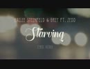 Hailee Steinfeld,  Grey - Starving (Lyric Video) ft. Zedd