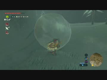 【実況】愛に生きるゼルダの伝説ブレスオブザワイルド part80