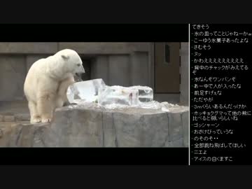 [2017.05.29]ひろくん 動画鑑賞(うさぎ動画、サトシ、動物動画)