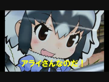 アライさんなのだ！！！！