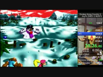 スーパードンキーコング3any%RTA 47:24 (実機)