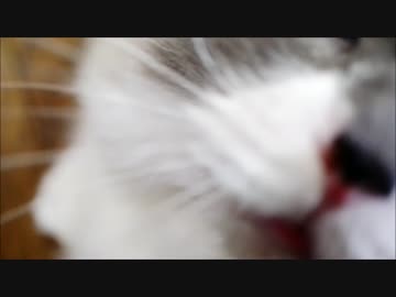 ファーミネーターでヘヴン