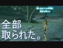 ゼルダ歴ゼロ年による生活記録 part 16