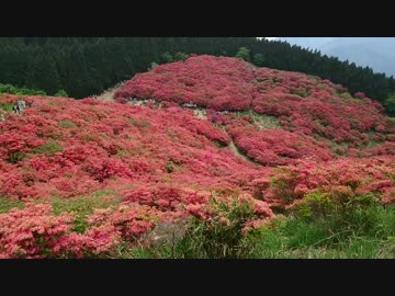 山登り実況#08 大和葛城山 (3/3)