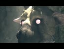 【実況】人喰いの大鷲のトリコの虜になる part2