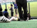 オリックスバファローズ　4/27　1-9