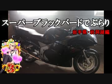 ｽｰﾊﾟｰﾌﾞﾗｯｸﾊﾞｰﾄﾞでぶらり　岩手県・岩洞湖　編