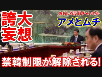 【韓国の誇大妄想が玉砕】 中国政府の禁韓制限が解除される！