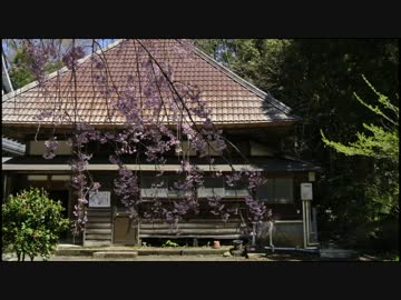 【ゆかり×茜と行く】新緑の新潟_中編【第5弾】