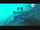 【月刊】海中動画★ゲスト→シーバスなど☆稚魚の群れ方【2017年 5月号】