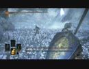 DLC1-1 王者の墓守＆墓守の大狼