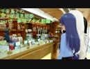 千音鳥(ちねどり)との東方鉄道見聞録 part5