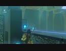 自由すぎるリンクの冒険【プレイ動画その５４】