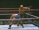 【WWF】ティト・サンタナ(ch.)vsグレッグ・ヴァレンタイン