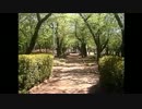 【音楽と景観】東京緑地#3　飛鳥山公園