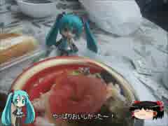 【ミクますの】楽しさたけなわ　いざ沖縄　その5【気分は上々】