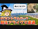 ✈ 魔理沙の交通マニヤ旅行記 ニューイングランド編4