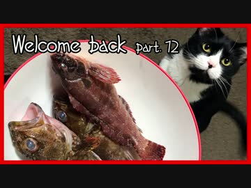 ジルと俺の釣り物語 part.12#おすすめルアー編 闘魂ジグ爆釣？