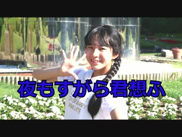 夜もすがら君想ふ【古都胡椒】