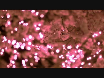 【東方自作アレンジ】桜色の海を泳いで【テクノ・オーケストラ】