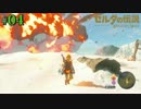 盗賊リンクのゼル伝BOW実況part04
