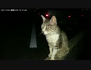 【生海月】なまくらじお【2017.6.6】