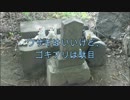あの、黒くてテカテカですばしっこくて、にくいやつ。