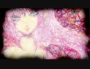 【和風ロック】【巡音ルカV4X】笹枕【オリジナルMV】+カラオケ