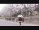 【mugi】彼方此方【踊ってみた】