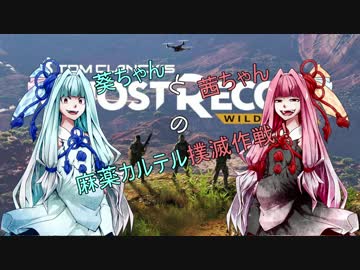 葵ちゃんと茜ちゃんの麻薬カルテル撲滅作戦！part２