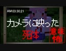 【マイクラ】意味がわかると怖い話『カメラに映った死体』