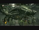 DARK SOULS III #14 07 生贄の道 2/3 #DarkSouls #DarkSouls3
