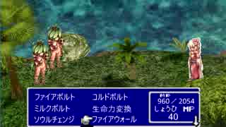 ラグナロクオンライン：たておきファイアウォールで遊ぶ