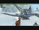 【MHF-Z】第113回韋駄天杯【暴鋸竜討伐Ｇ！】狩猟笛部門