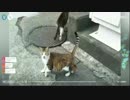 【配信】ミノルと田舎の風景 その2 (2017/06/03)