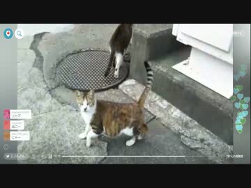 【配信】ミノルと田舎の風景 その2 (2017/06/03)