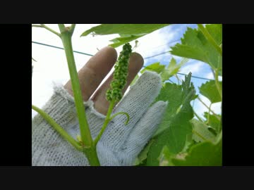 まったり作業報告　Vol.3