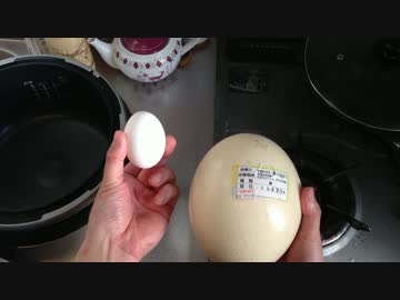 ダチョウの卵の茹でたまご