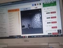 あめふりくまのこ