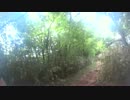 【ハイキング】長尾峠～芦ノ湖スカイライン入口～湖尻②【往路】