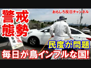 【韓国で鳥インフルが警戒態勢突入】 毎日がインフルな理由が発覚！