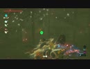 【高画質プレイ動画】ゼルダの伝説 ブレスオブザワイルド Part196