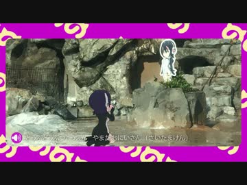 【けものフレンズ】やまだおにいさんのフンボルトペンギン解説