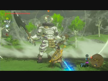 【実況】愛に生きるゼルダの伝説ブレスオブザワイルド part85