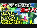 検証!アシスト機能VSビッグブルーショートカット!マリオカート8DX(87)