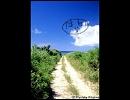 感動すると思う曲３（２曲）