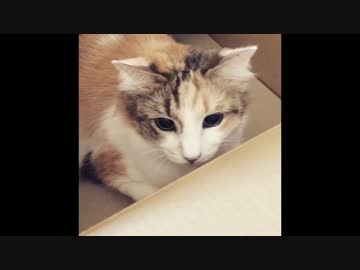 10年後のエリザベス